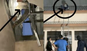 5bed055e-804e-451f-9d57-e3cb8a1158c3