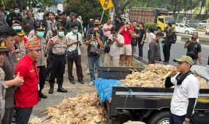 Demo PLN PRaya2
